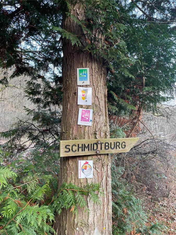 Am Apfelbaum, Ein Ferienhaus Zwischen Rhein Und Mosel คาสเตลเลาน์ ภายนอก รูปภาพ