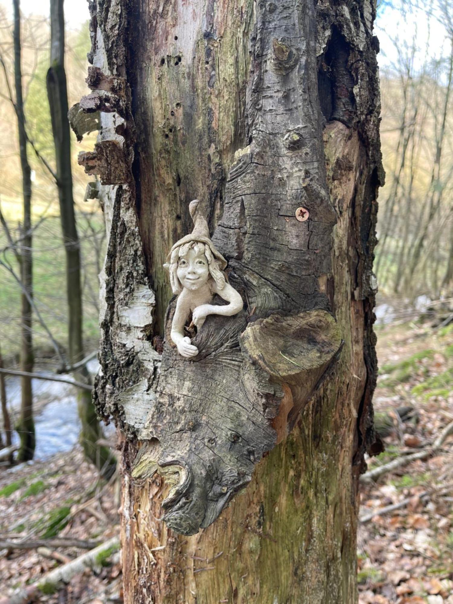 Am Apfelbaum, Ein Ferienhaus Zwischen Rhein Und Mosel คาสเตลเลาน์ ภายนอก รูปภาพ