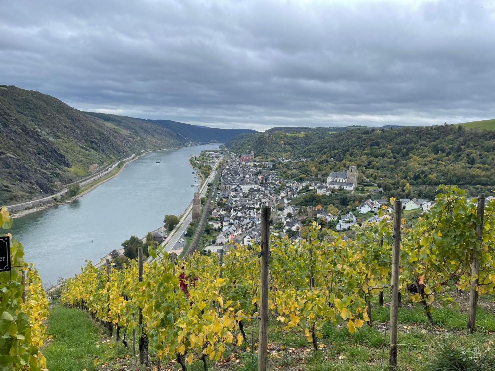 Am Apfelbaum, Ein Ferienhaus Zwischen Rhein Und Mosel คาสเตลเลาน์ ภายนอก รูปภาพ
