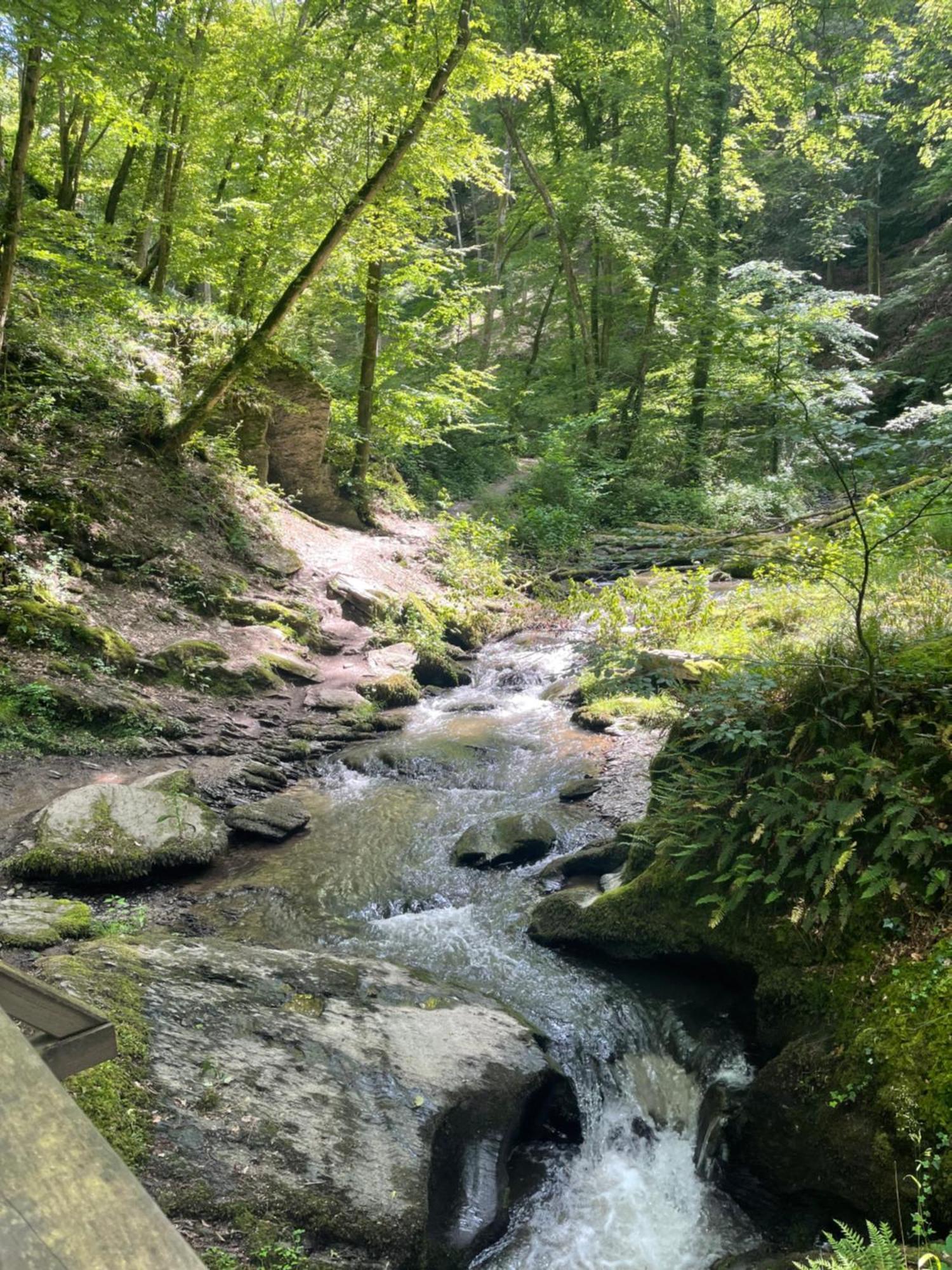 Am Apfelbaum, Ein Ferienhaus Zwischen Rhein Und Mosel คาสเตลเลาน์ ภายนอก รูปภาพ