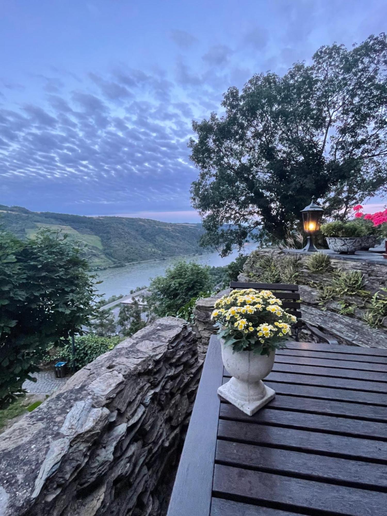 Am Apfelbaum, Ein Ferienhaus Zwischen Rhein Und Mosel คาสเตลเลาน์ ภายนอก รูปภาพ